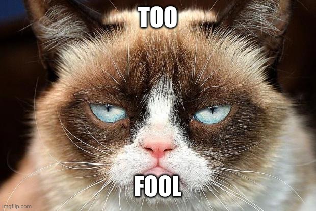 Grumpy Cat Not Amused Meme | TOO FOOL | image tagged in memes,grumpy cat not amused,grumpy cat | made w/ Imgflip meme maker