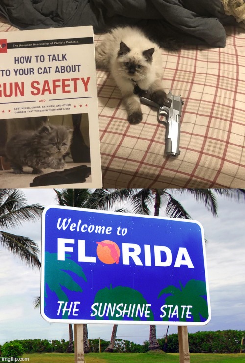 Florida | image tagged in florida | made w/ Imgflip meme maker
