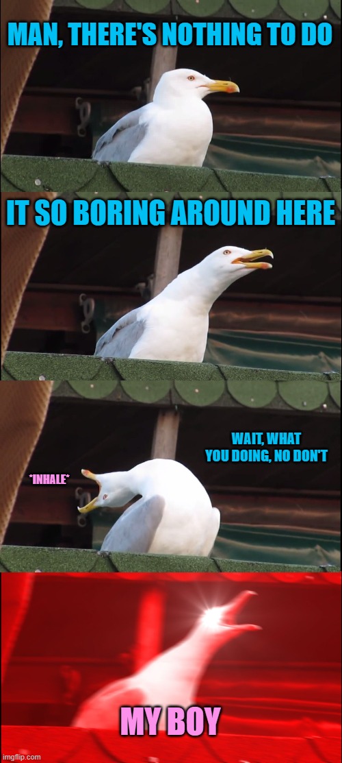 Inhaling Seagull | MAN, THERE'S NOTHING TO DO; IT SO BORING AROUND HERE; WAIT, WHAT YOU DOING, NO DON'T; *INHALE*; MY BOY | image tagged in memes,inhaling seagull | made w/ Imgflip meme maker