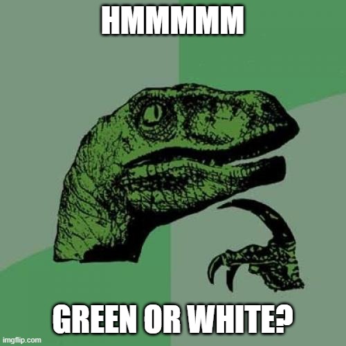 hmmmmmmm | HMMMMM; GREEN OR WHITE? | image tagged in memes,philosoraptor,upvote if you agree | made w/ Imgflip meme maker