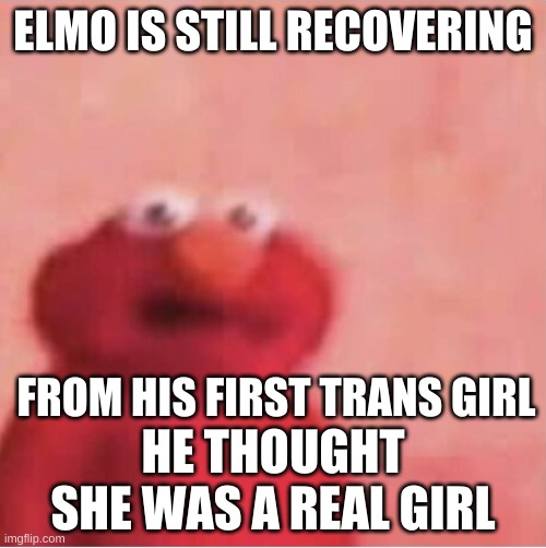 hello Im new! Please help me get rcognized by meme gods by upvoting. :) ur all amazing | ELMO IS STILL RECOVERING; FROM HIS FIRST TRANS GIRL; HE THOUGHT SHE WAS A REAL GIRL | image tagged in scared elmo | made w/ Imgflip meme maker