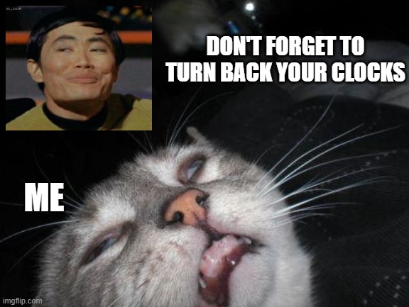 Tell me again to turn back my clocks | DON'T FORGET TO TURN BACK YOUR CLOCKS; ME | image tagged in annoyed cat,time change,annoyed,smartass,smart guy | made w/ Imgflip meme maker