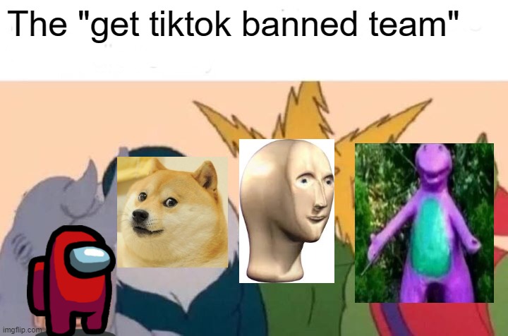 :-) | The "get tiktok banned team" | image tagged in memes,me and the boys | made w/ Imgflip meme maker