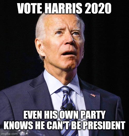 Bait and switch | VOTE HARRIS 2020; EVEN HIS OWN PARTY KNOWS HE CAN'T BE PRESIDENT | image tagged in joe biden,presidential alert,no way,no how,senile | made w/ Imgflip meme maker