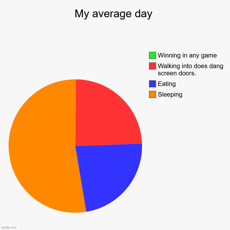 My average day | Sleeping, Eating, Walking into does dang screen doors., Winning in any game | image tagged in charts,pie charts | made w/ Imgflip chart maker