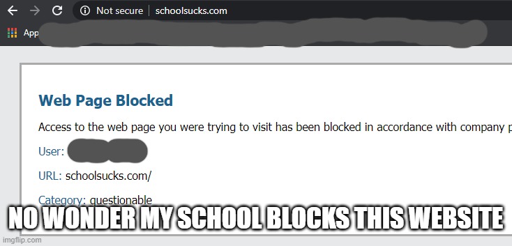 school sucks | NO WONDER MY SCHOOL BLOCKS THIS WEBSITE | image tagged in school,i hate school,school sucks | made w/ Imgflip meme maker