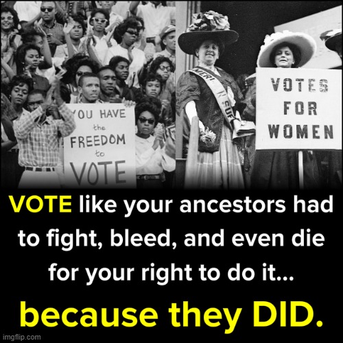 Indeed. Honor their hard work and sacrifice. Vote. | image tagged in voting rights | made w/ Imgflip meme maker