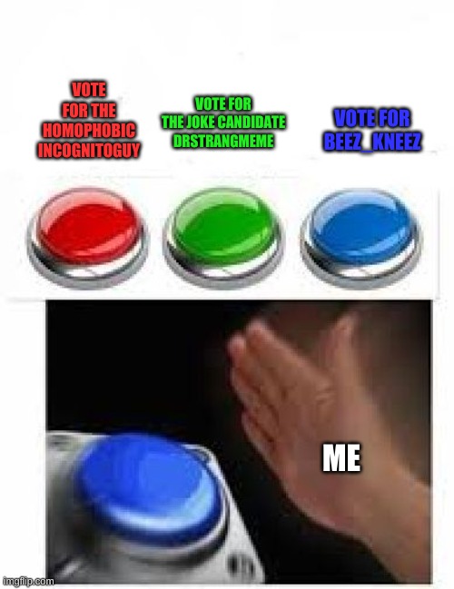 vote beez | VOTE FOR THE JOKE CANDIDATE DRSTRANGMEME; VOTE FOR THE HOMOPHOBIC INCOGNITOGUY; VOTE FOR BEEZ_KNEEZ; ME | image tagged in red green blue buttons | made w/ Imgflip meme maker