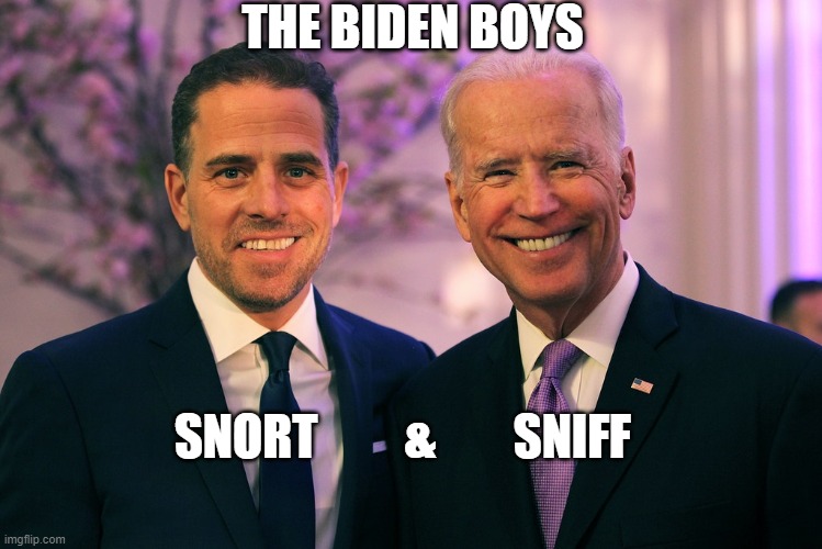 THE BIDEN BOYS; SNORT         &        SNIFF | image tagged in creepy joe biden | made w/ Imgflip meme maker
