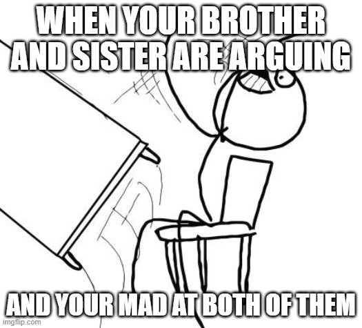 im an only child | WHEN YOUR BROTHER AND SISTER ARE ARGUING; AND YOUR MAD AT BOTH OF THEM | image tagged in memes,table flip guy | made w/ Imgflip meme maker
