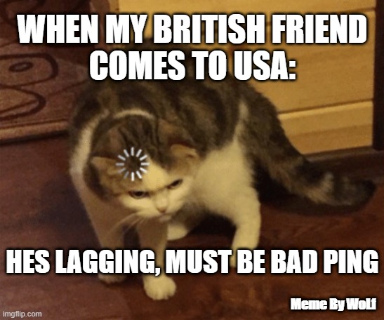 When my british friend comes to America | WHEN MY BRITISH FRIEND
COMES TO USA:; HES LAGGING, MUST BE BAD PING; Meme By WoLf | image tagged in lag cat | made w/ Imgflip meme maker