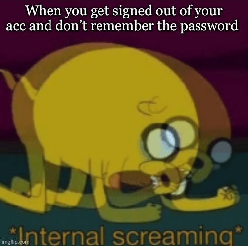 I lost my acc So I’m making a meme about my pain | When you get signed out of your acc and don’t remember the password | image tagged in jake the dog internal screaming,password | made w/ Imgflip meme maker