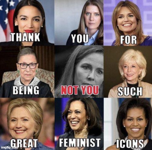 nailed it | image tagged in great feminist icons,repost,feminism,feminist | made w/ Imgflip meme maker