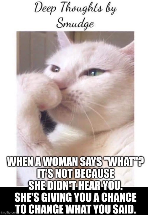 Deep thoughts by smudge. | WHEN A WOMAN SAYS "WHAT"?
IT'S NOT BECAUSE SHE DIDN'T HEAR YOU. SHE'S GIVING YOU A CHANCE TO CHANGE WHAT YOU SAID. | image tagged in deep-thoughts-by-smudge | made w/ Imgflip meme maker