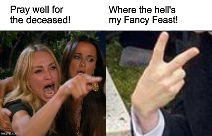 No Fancy Feast For Flashing Funeral Fingers | Pray well for the deceased! Where the hell's my Fancy Feast! | image tagged in memes,woman yelling at cat,pull my finger,angry lady cat,funeral,respect | made w/ Imgflip meme maker