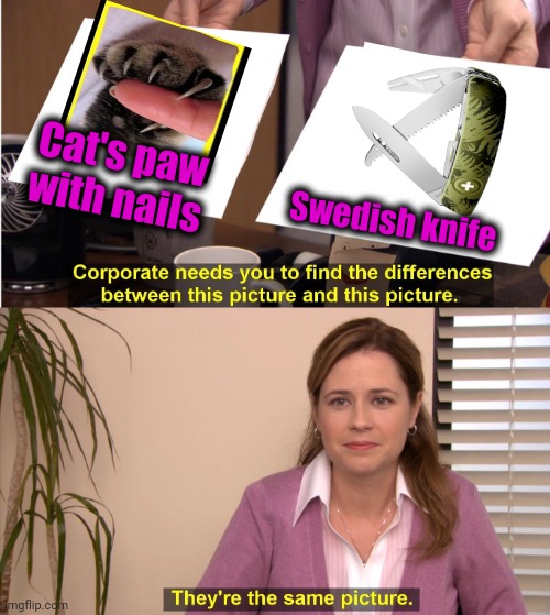 -So cute. | Cat's paw with nails; Swedish knife | image tagged in memes,they're the same picture,black cat pissed,nine inch nails,swedish,knife | made w/ Imgflip meme maker