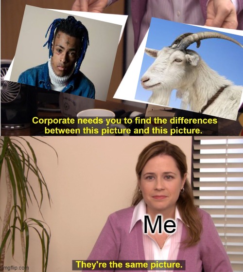 They're The Same Picture | Me | image tagged in memes,they're the same picture | made w/ Imgflip meme maker