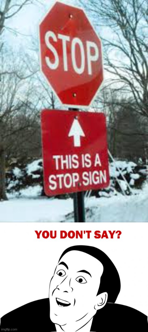 You Don't Say | image tagged in memes,you don't say,stop sign | made w/ Imgflip meme maker