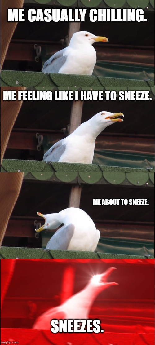 Inhaling Seagull | ME CASUALLY CHILLING. ME FEELING LIKE I HAVE TO SNEEZE. ME ABOUT TO SNEEZE. SNEEZES. | image tagged in memes,inhaling seagull | made w/ Imgflip meme maker