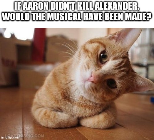 I mean, it all lead up to Burr killing him, so...? | IF AARON DIDN'T KILL ALEXANDER, WOULD THE MUSICAL HAVE BEEN MADE? | image tagged in curious question cat | made w/ Imgflip meme maker