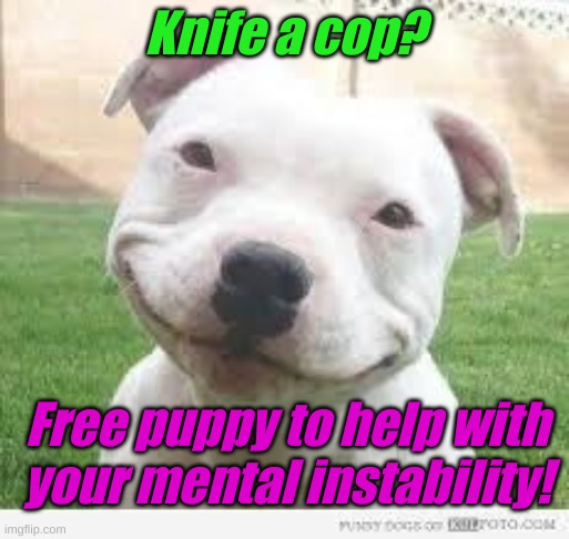 Happy Friday Puppy | Knife a cop? Free puppy to help with your mental instability! | image tagged in happy friday puppy | made w/ Imgflip meme maker