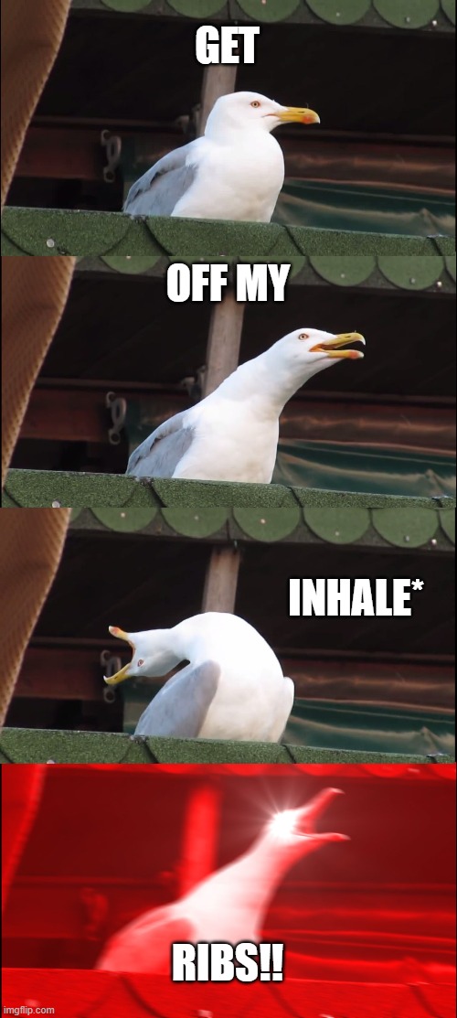 Ribs!!!!!!!!!!!!!!!!!! | GET; OFF MY; INHALE*; RIBS!! | image tagged in memes,inhaling seagull | made w/ Imgflip meme maker