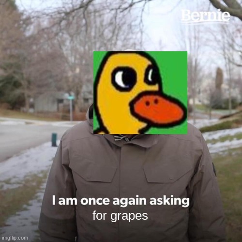 Bernie I Am Once Again Asking For Your Support Meme | for grapes | image tagged in memes,bernie i am once again asking for your support | made w/ Imgflip meme maker