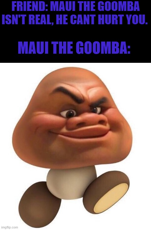 I have absolutely no words. | FRIEND: MAUI THE GOOMBA ISN'T REAL, HE CANT HURT YOU. MAUI THE GOOMBA: | image tagged in memes | made w/ Imgflip meme maker