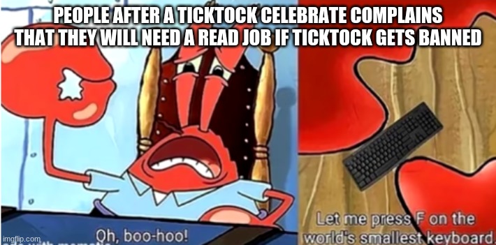 get a job hippy | PEOPLE AFTER A TICKTOCK CELEBRATE COMPLAINS THAT THEY WILL NEED A READ JOB IF TICKTOCK GETS BANNED | image tagged in lol,mr krabs | made w/ Imgflip meme maker