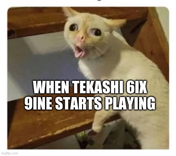 Coughing Cat | WHEN TEKASHI 6IX 9INE STARTS PLAYING | image tagged in coughing cat | made w/ Imgflip meme maker