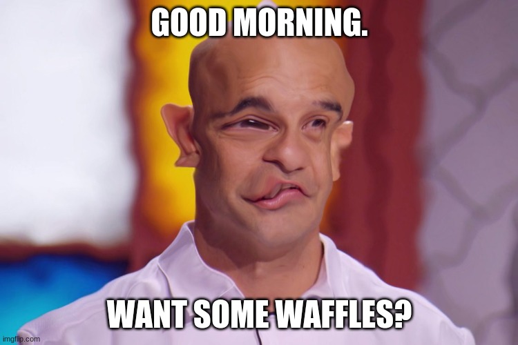 GOOD MORNING. WANT SOME WAFFLES? | image tagged in stupid,random,weird | made w/ Imgflip meme maker