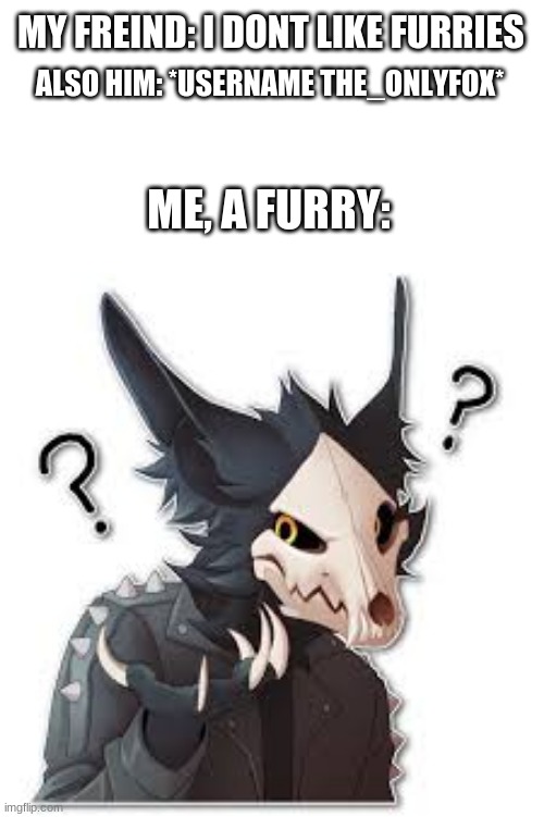 Dude, Wtf? | MY FREIND: I DONT LIKE FURRIES; ALSO HIM: *USERNAME THE_ONLYFOX*; ME, A FURRY: | image tagged in furry,furry memes,wtf,confused | made w/ Imgflip meme maker