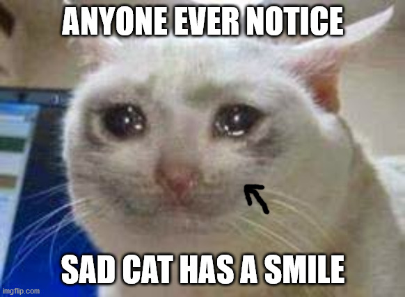 Happy Cry ᓚᘏᗢ | ANYONE EVER NOTICE; SAD CAT HAS A SMILE | image tagged in cat crying | made w/ Imgflip meme maker