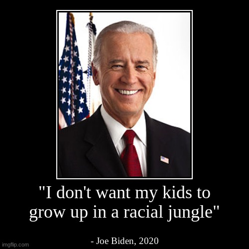 Joe Biden quotes 2 | image tagged in funny,demotivationals,joe biden | made w/ Imgflip demotivational maker