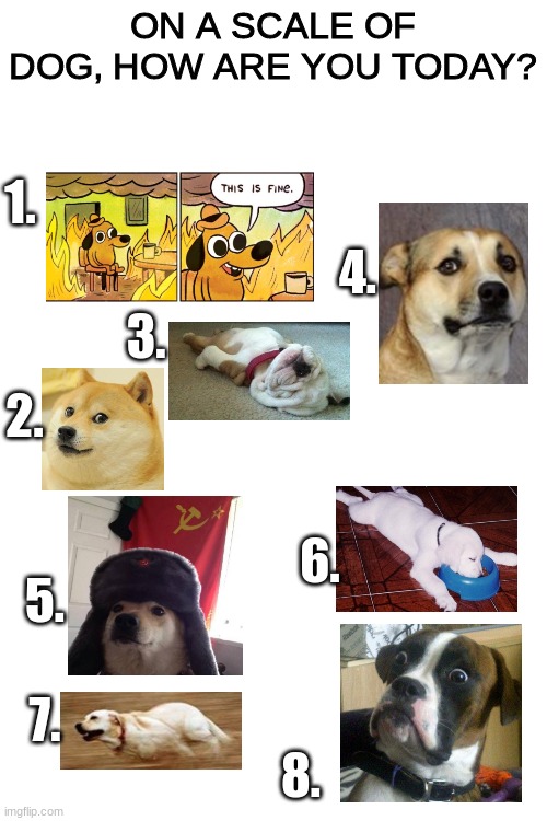 comment below! | ON A SCALE OF DOG, HOW ARE YOU TODAY? 1. 4. 3. 2. 6. 5. 7. 8. | image tagged in blank white template,doge,dogs,doggos,memes,how are you today | made w/ Imgflip meme maker