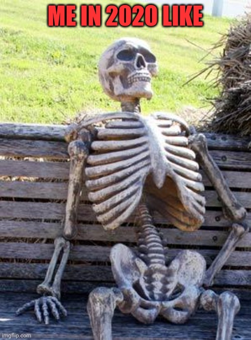 Waiting Skeleton Meme | ME IN 2020 LIKE | image tagged in memes,waiting skeleton | made w/ Imgflip meme maker