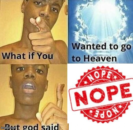 What if you wanted to go to Heaven | image tagged in what if you wanted to go to heaven | made w/ Imgflip meme maker