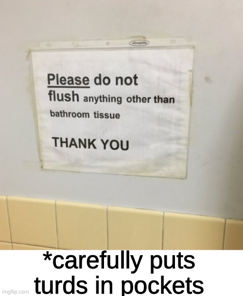 Steady... Steady |  *carefully puts turds in pockets | image tagged in blank white template,funny,memes,funny memes,turd,toilet | made w/ Imgflip meme maker