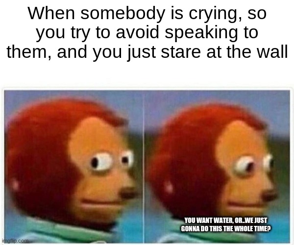 Emotionally Awkward | When somebody is crying, so you try to avoid speaking to them, and you just stare at the wall; YOU WANT WATER, OR..WE JUST GONNA DO THIS THE WHOLE TIME? | image tagged in memes,monkey puppet | made w/ Imgflip meme maker