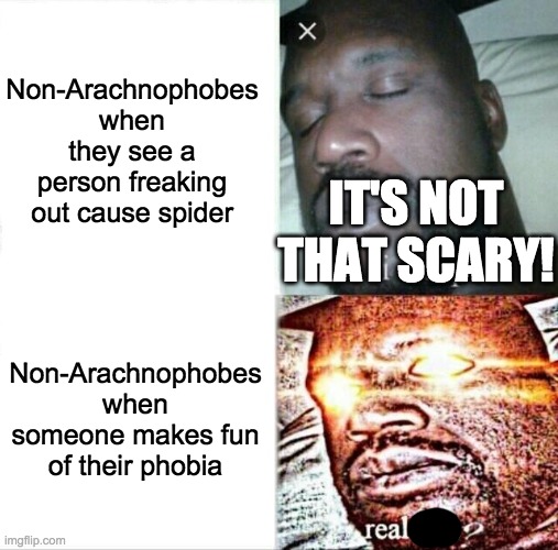 Sleeping Shaq | Non-Arachnophobes when they see a person freaking out cause spider; IT'S NOT THAT SCARY! Non-Arachnophobes when someone makes fun of their phobia | image tagged in memes,sleeping shaq | made w/ Imgflip meme maker