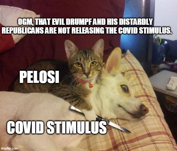 dog hostage | OGM, THAT EVIL DRUMPF AND HIS DISTARDLY  
REPUBLICANS ARE NOT RELEASING THE COVID STIMULUS. PELOSI; COVID STIMULUS | image tagged in dog hostage | made w/ Imgflip meme maker