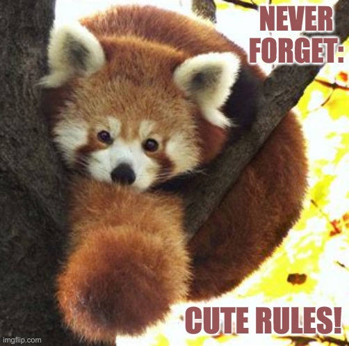 Red Pandaball | NEVER FORGET:; CUTE RULES! | image tagged in ball o' cute | made w/ Imgflip meme maker