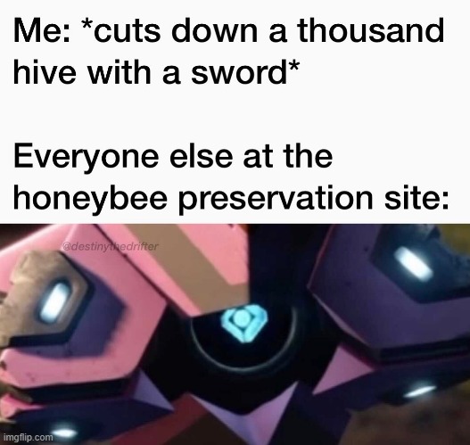 XD | image tagged in destiny 2,cool | made w/ Imgflip meme maker