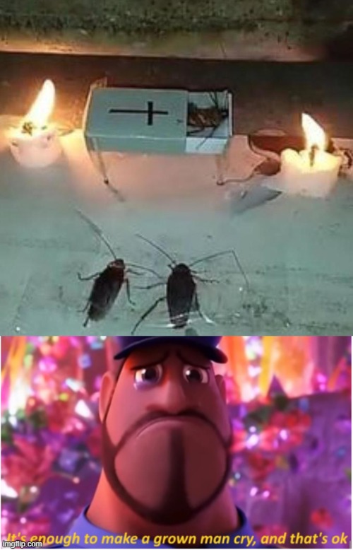 Cockroach funeral | image tagged in it's enough to make a grown man cry and that's ok | made w/ Imgflip meme maker