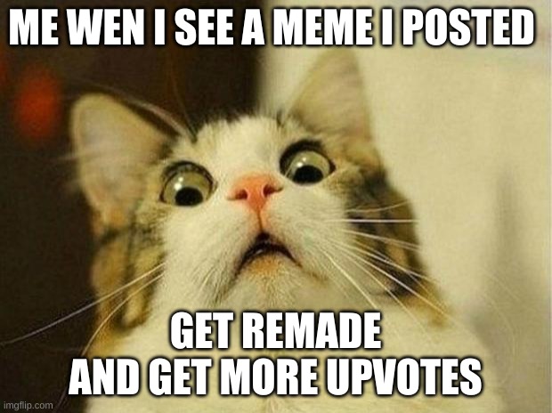 Scared Cat |  ME WEN I SEE A MEME I POSTED; GET REMADE
AND GET MORE UPVOTES | image tagged in memes,scared cat | made w/ Imgflip meme maker