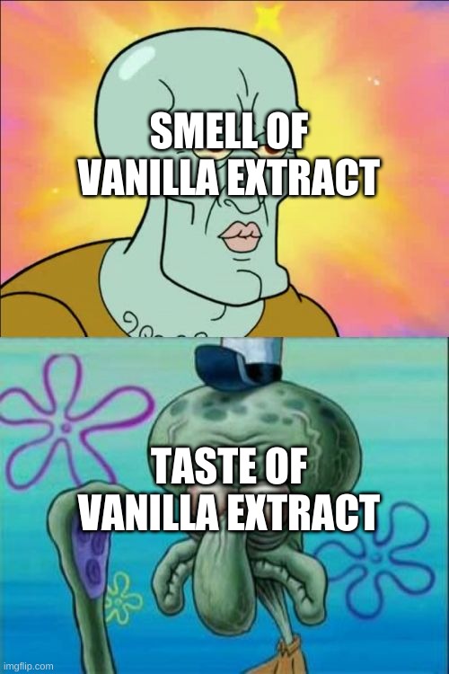 it tastes bad | SMELL OF VANILLA EXTRACT; TASTE OF VANILLA EXTRACT | image tagged in memes,squidward | made w/ Imgflip meme maker