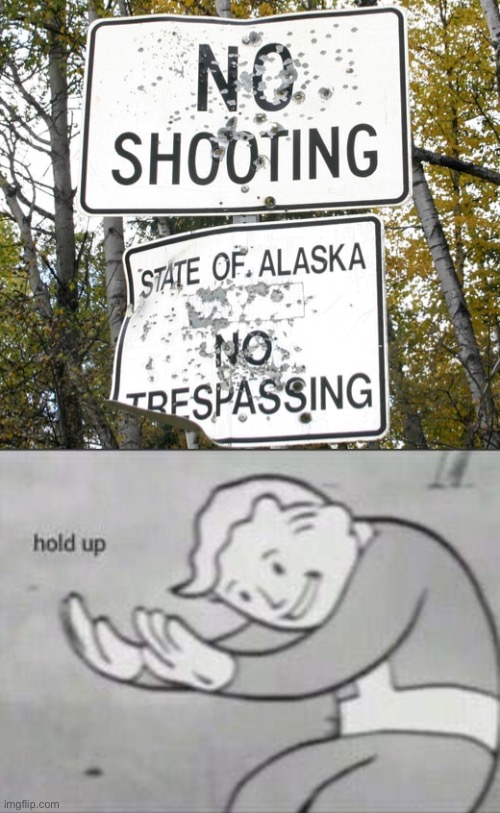 Wait a minute... | image tagged in fallout hold up,memes,funny,funny signs,ironic,shooting | made w/ Imgflip meme maker