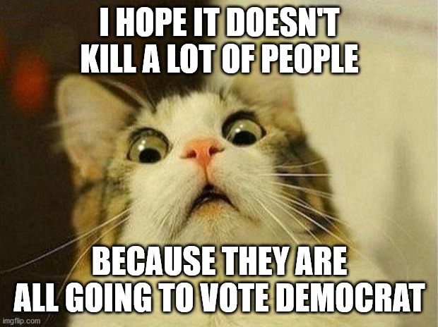 Scared Cat Meme | I HOPE IT DOESN'T KILL A LOT OF PEOPLE BECAUSE THEY ARE ALL GOING TO VOTE DEMOCRAT | image tagged in memes,scared cat | made w/ Imgflip meme maker