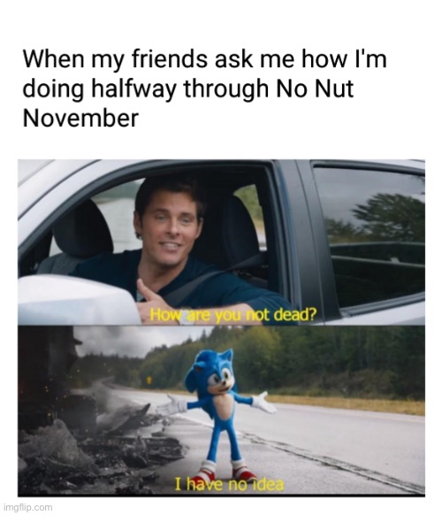 no nut November | image tagged in no nut november,sonic,memes,funny | made w/ Imgflip meme maker