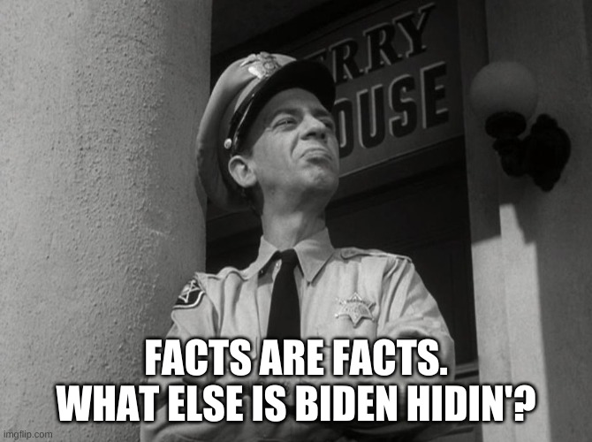 Barney Fife Proud | FACTS ARE FACTS. WHAT ELSE IS BIDEN HIDIN'? | image tagged in barney fife proud | made w/ Imgflip meme maker